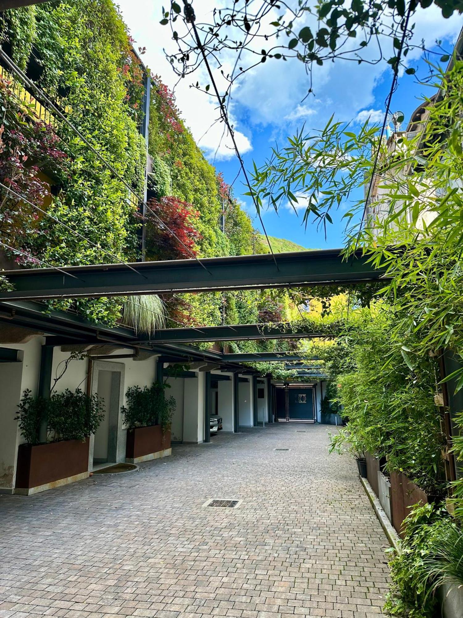 Residence Casa Coppa Appartamento Flox Omegna Eksteriør bilde